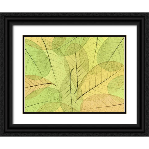 Leaf Collage I Black Ornate Wood Framed Art Print with Double Matting by Mahan, Kathy