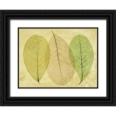 Leaf Collage II Black Ornate Wood Framed Art Print with Double Matting by Mahan, Kathy