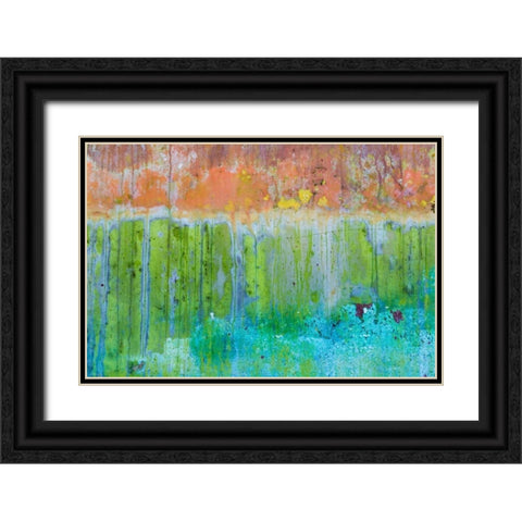 Color III Black Ornate Wood Framed Art Print with Double Matting by Mahan, Kathy