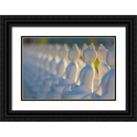 Garden of Buddahs II Black Ornate Wood Framed Art Print with Double Matting by Mahan, Kathy