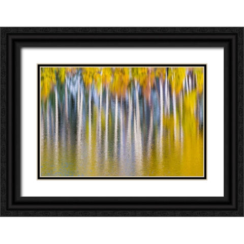 Reflections of Fall II Black Ornate Wood Framed Art Print with Double Matting by Mahan, Kathy