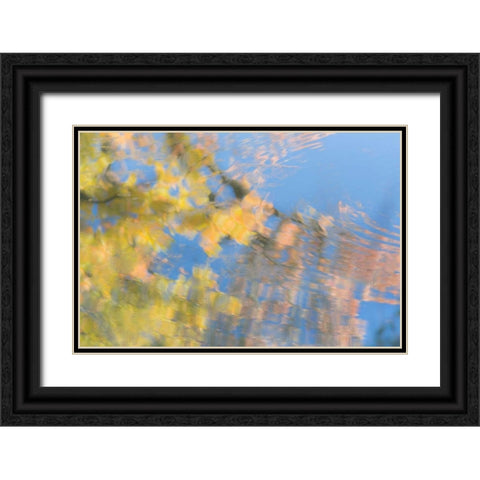 Tree Reflections II Black Ornate Wood Framed Art Print with Double Matting by Mahan, Kathy