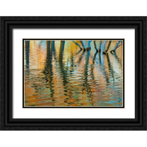 Lake Powell Reflections I Black Ornate Wood Framed Art Print with Double Matting by Mahan, Kathy