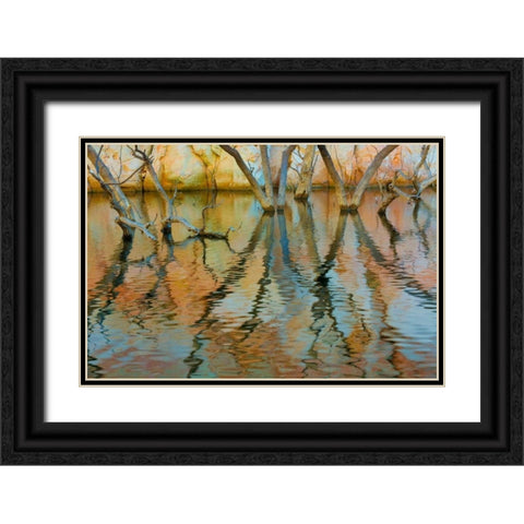 Lake Powell Reflections II Black Ornate Wood Framed Art Print with Double Matting by Mahan, Kathy