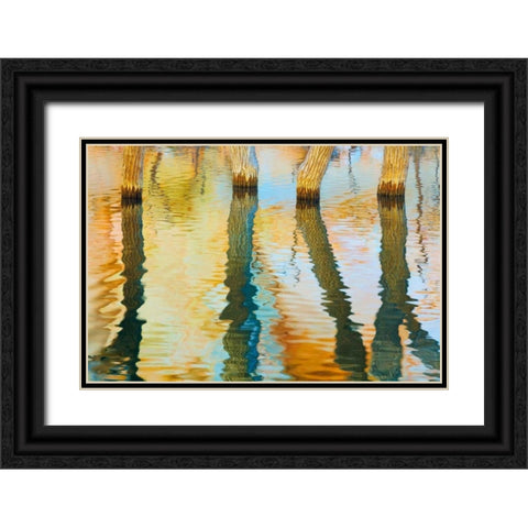 Lake Powell Reflections III Black Ornate Wood Framed Art Print with Double Matting by Mahan, Kathy
