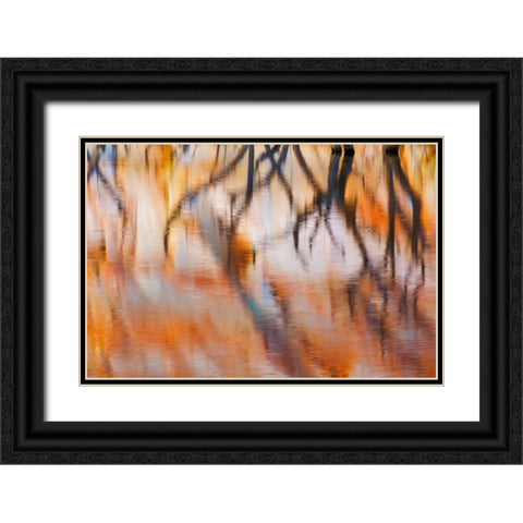 Lake Powell Reflections IV Black Ornate Wood Framed Art Print with Double Matting by Mahan, Kathy