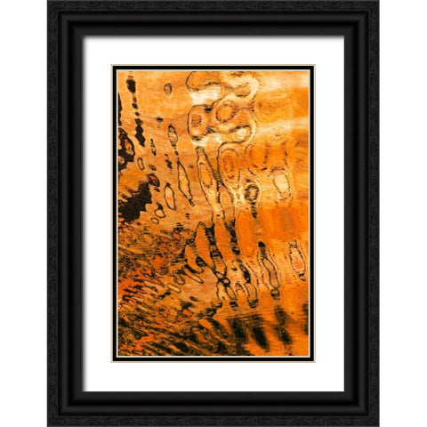 Golden Reflection I Black Ornate Wood Framed Art Print with Double Matting by Mahan, Kathy