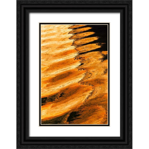 Golden Reflection II Black Ornate Wood Framed Art Print with Double Matting by Mahan, Kathy