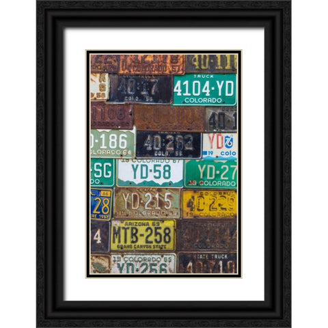 License Plates I Black Ornate Wood Framed Art Print with Double Matting by Mahan, Kathy