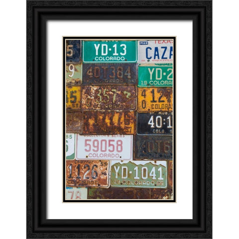 License Plates II Black Ornate Wood Framed Art Print with Double Matting by Mahan, Kathy