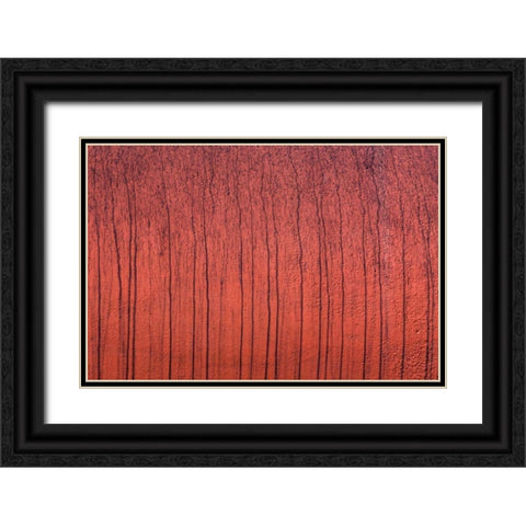 Painted Metal Black Ornate Wood Framed Art Print with Double Matting by Mahan, Kathy