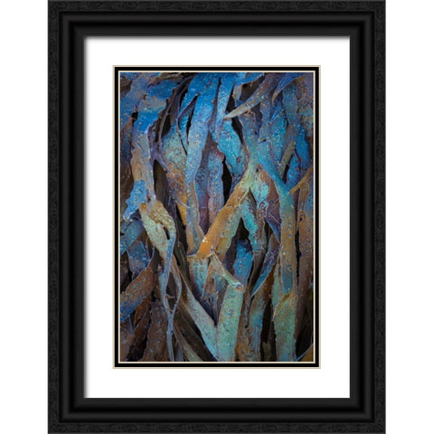Sculptural Metal V Black Ornate Wood Framed Art Print with Double Matting by Mahan, Kathy