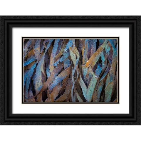 Sculptural Metal VII Black Ornate Wood Framed Art Print with Double Matting by Mahan, Kathy