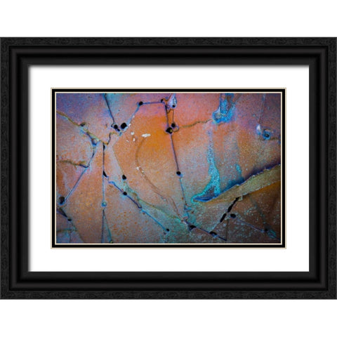 Sculptural Metal XI Black Ornate Wood Framed Art Print with Double Matting by Mahan, Kathy