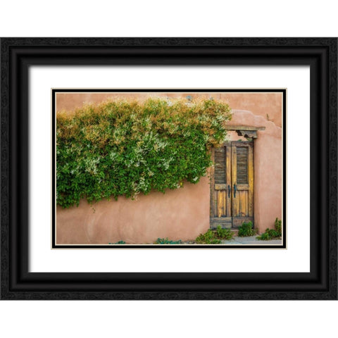 Gate II Black Ornate Wood Framed Art Print with Double Matting by Mahan, Kathy