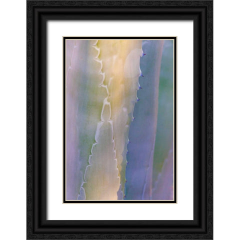 Agave III Black Ornate Wood Framed Art Print with Double Matting by Mahan, Kathy