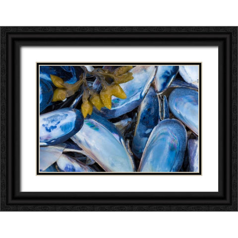 Mussels II Black Ornate Wood Framed Art Print with Double Matting by Mahan, Kathy