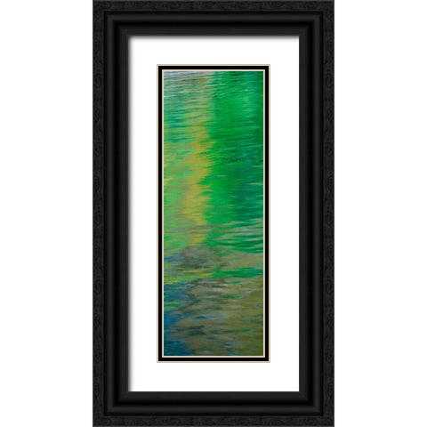 Water Colors II Black Ornate Wood Framed Art Print with Double Matting by Mahan, Kathy