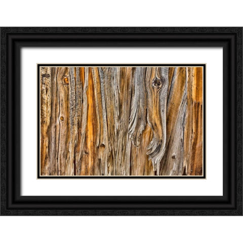Weathered Wall II Black Ornate Wood Framed Art Print with Double Matting by Mahan, Kathy
