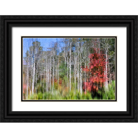 Forest Reflections I Black Ornate Wood Framed Art Print with Double Matting by Mahan, Kathy