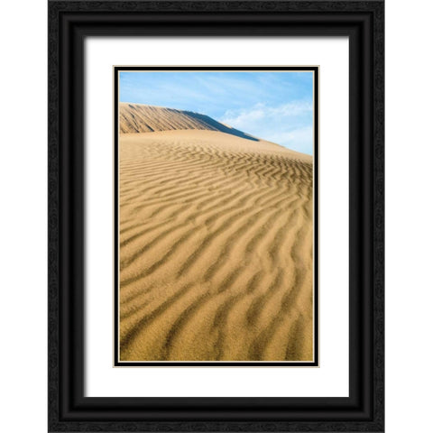 Kelso Dunes II Black Ornate Wood Framed Art Print with Double Matting by Mahan, Kathy