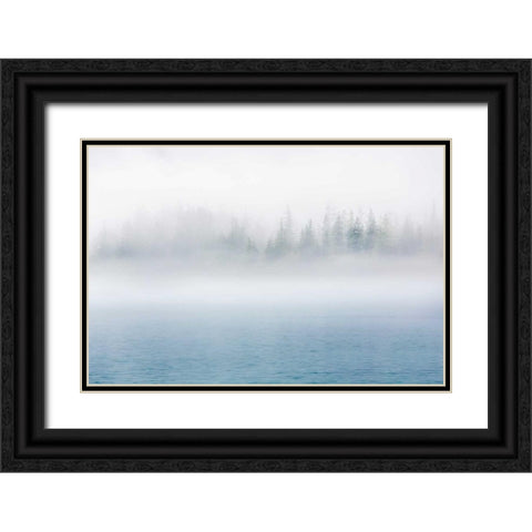 Alaska Fog I Black Ornate Wood Framed Art Print with Double Matting by Mahan, Kathy
