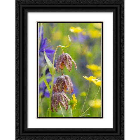 Chocolate Lily II Black Ornate Wood Framed Art Print with Double Matting by Mahan, Kathy