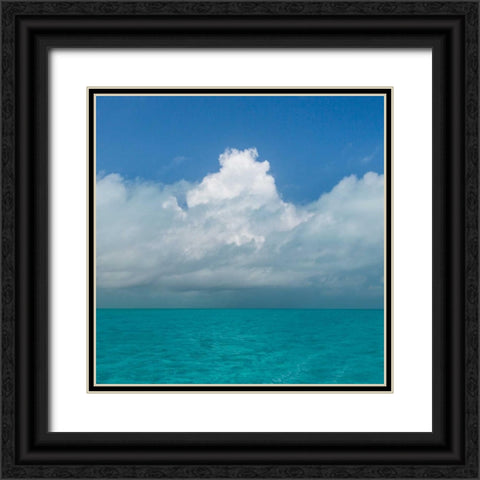 Tropical Seascape II Black Ornate Wood Framed Art Print with Double Matting by Mahan, Kathy
