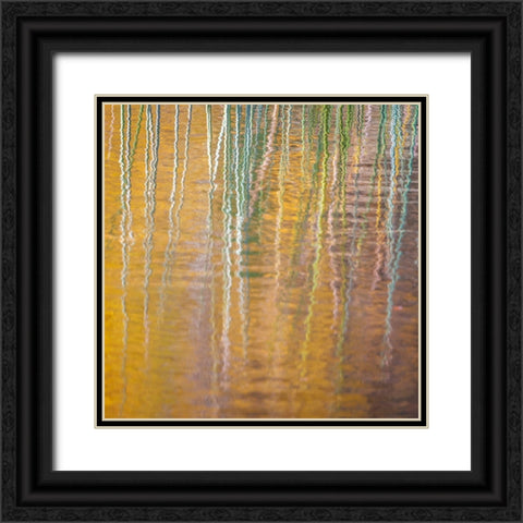 Fall Reflections III Black Ornate Wood Framed Art Print with Double Matting by Mahan, Kathy