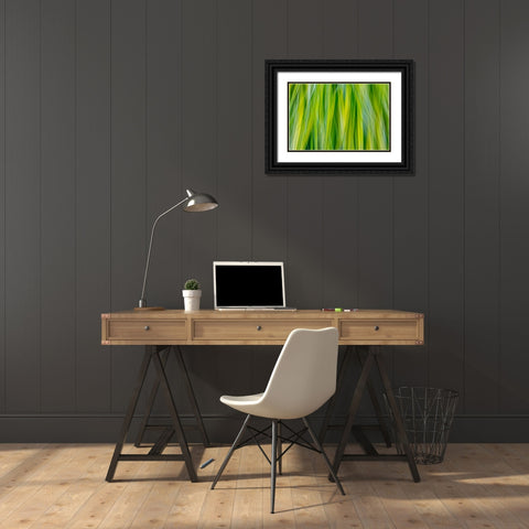Japanese Forest Grass II Black Ornate Wood Framed Art Print with Double Matting by Mahan, Kathy