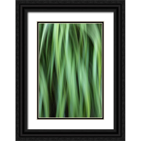Grass Abstract Black Ornate Wood Framed Art Print with Double Matting by Mahan, Kathy