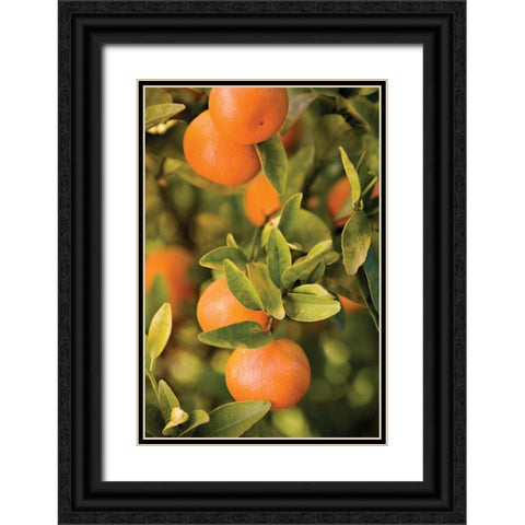 OrangesII Black Ornate Wood Framed Art Print with Double Matting by Millet, Karyn