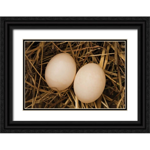 Eggs I Black Ornate Wood Framed Art Print with Double Matting by Millet, Karyn