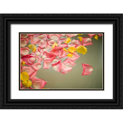 Rose Petals Black Ornate Wood Framed Art Print with Double Matting by Millet, Karyn