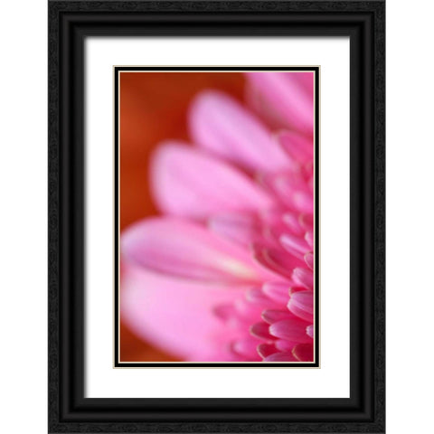 Pink Afternoon Black Ornate Wood Framed Art Print with Double Matting by Millet, Karyn