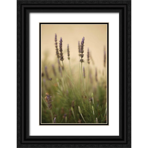 Lavender I Black Ornate Wood Framed Art Print with Double Matting by Millet, Karyn