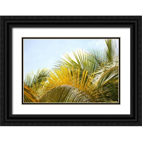 Palms at Noon Black Ornate Wood Framed Art Print with Double Matting by Millet, Karyn