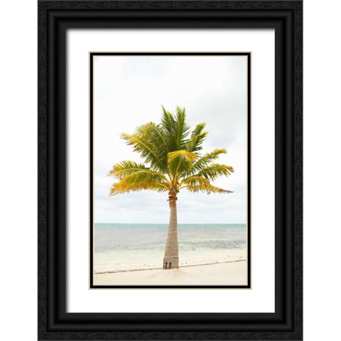 Beach Palm II Black Ornate Wood Framed Art Print with Double Matting by Millet, Karyn