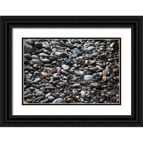 Pebble Patch II Black Ornate Wood Framed Art Print with Double Matting by Millet, Karyn
