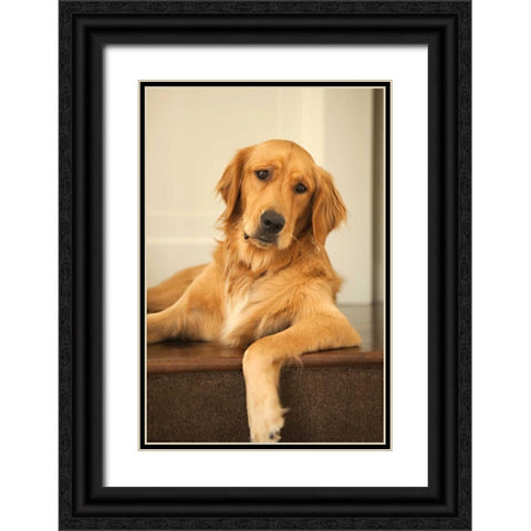Goldie II Black Ornate Wood Framed Art Print with Double Matting by Millet, Karyn