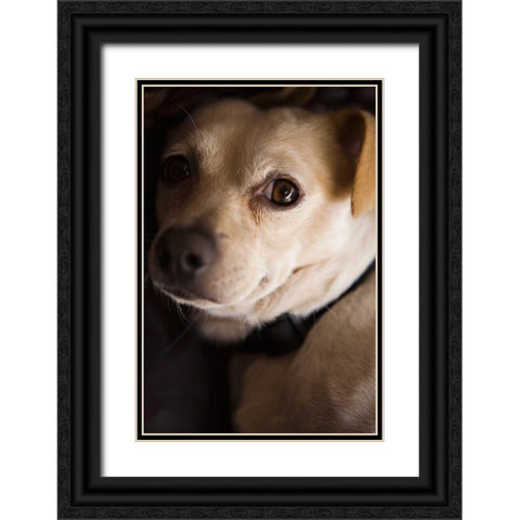 Second Glance Black Ornate Wood Framed Art Print with Double Matting by Millet, Karyn