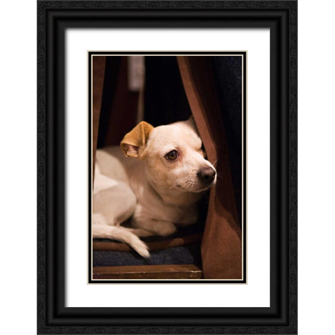 Napping Black Ornate Wood Framed Art Print with Double Matting by Millet, Karyn