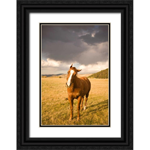 Out in the Pasture I Black Ornate Wood Framed Art Print with Double Matting by Millet, Karyn
