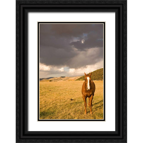 Out in the Pasture II Black Ornate Wood Framed Art Print with Double Matting by Millet, Karyn