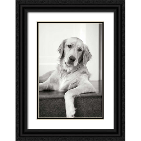Goldie II Black Ornate Wood Framed Art Print with Double Matting by Millet, Karyn