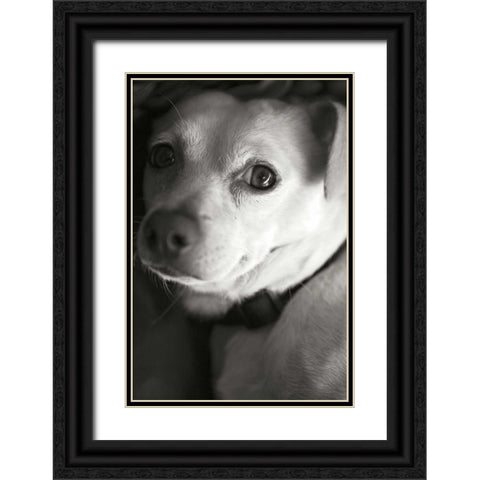 Second Glance Black Ornate Wood Framed Art Print with Double Matting by Millet, Karyn