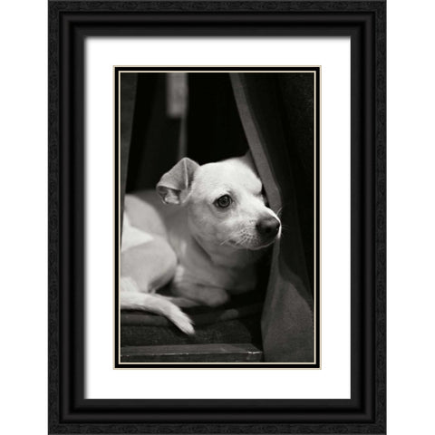Napping Black Ornate Wood Framed Art Print with Double Matting by Millet, Karyn