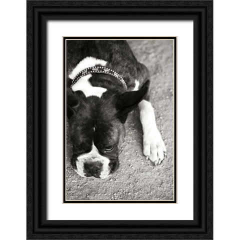 Boxer Black Ornate Wood Framed Art Print with Double Matting by Millet, Karyn