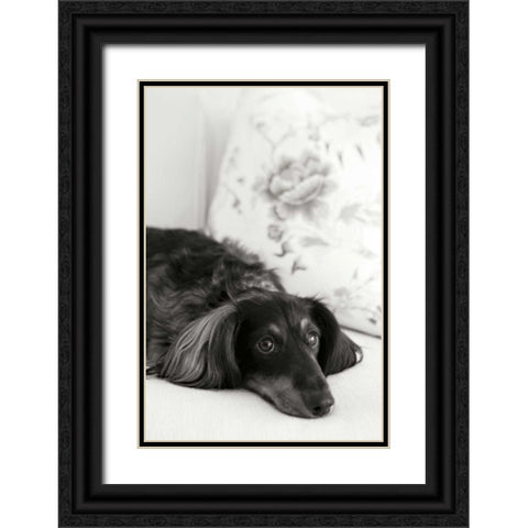 Dachshund Black Ornate Wood Framed Art Print with Double Matting by Millet, Karyn