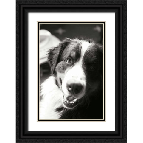 Ranch Dog Black Ornate Wood Framed Art Print with Double Matting by Millet, Karyn